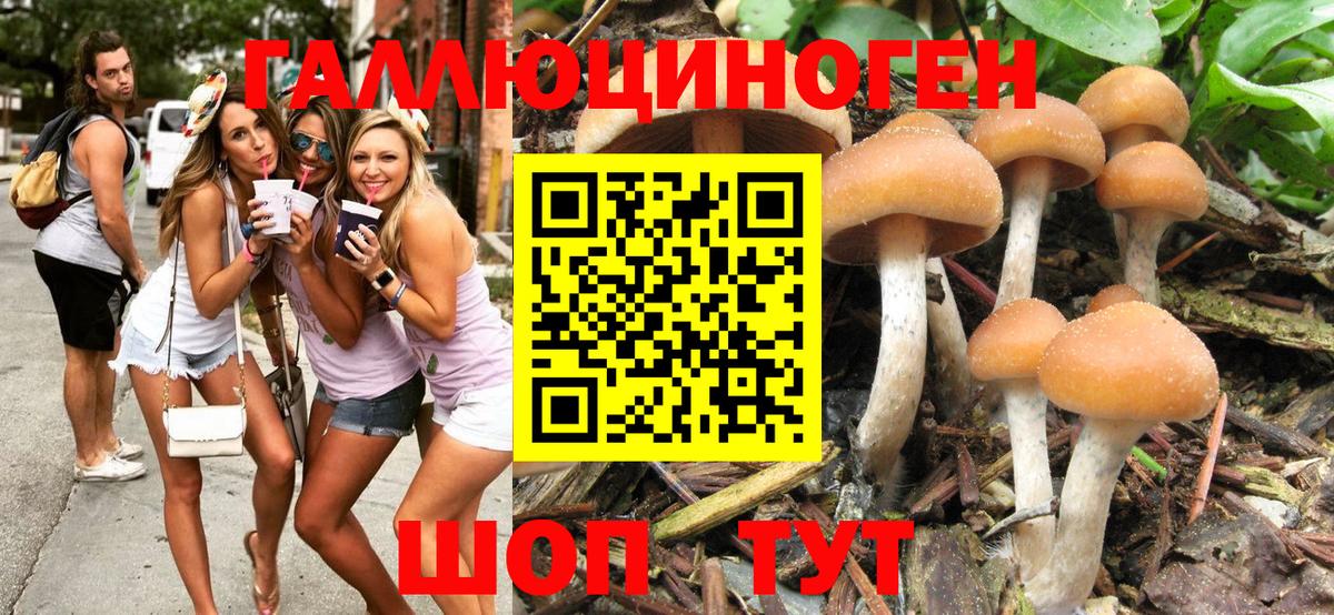 Псилоцибиновые грибы GOLDEN TEACHER Мыски